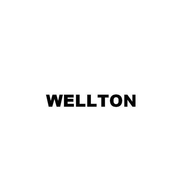 Тепловентилятор Wellton FHS-02
