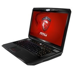 MSI GT70 2OD (Core i7 4700MQ 2400 Mhz/17.3"/1920x1080/8192Mb/750Gb/DVD-RW/NVIDIA GeForce GTX 780M/Wi-Fi/Bluetooth/Win 8 64)