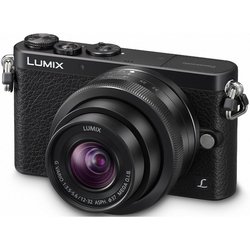 Panasonic Lumix DMC-GM1 Kit (черный)