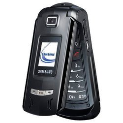 Samsung SGH-Z540