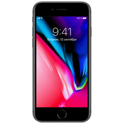 Apple iPhone 8 256GB (серый космос)