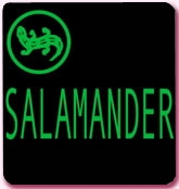 Обувь Salamander