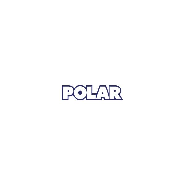 TV-тюнер Polar DT-1005