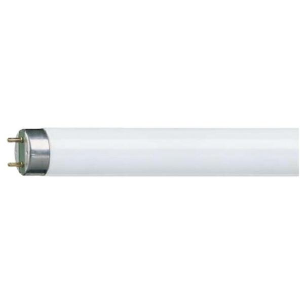 Лампа люминесцентная Philips TL-D 36W/54-765 1SL/25, G13, T28, 36Вт