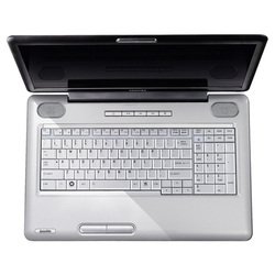 Toshiba SATELLITE L550-11F (Core 2 Duo P7350 2000 Mhz/17.3"/1600x900/4096Mb/400.0Gb/DVD-RW/Wi-Fi/Bluetooth/Win Vista HP)