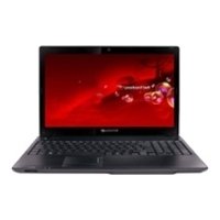 Packard Bell EasyNote TK81 ENTK81-SB-001RU (Phenom II N950 2100 Mhz/15.6"/1366x768/4096Mb/320Gb/DVD-RW/Wi-Fi/Win 7 Prof)