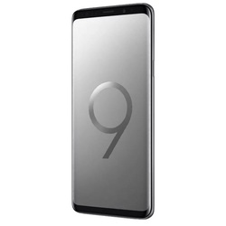 Смартфон Samsung Galaxy S9+ 64GB (титан)