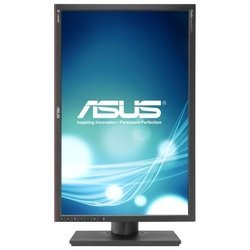 ASUS PA249Q (черный)