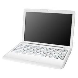 Viewsonic VNB120 (Celeron Dual-Core SU2300 1200 Mhz/12.1"/1280x800/2048Mb/250Gb/DVD нет/Wi-Fi/Bluetooth/Win 7 HP)