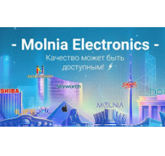 Магазин электроники Molnia Electronics