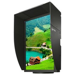 Eizo ColorEdge CG245W