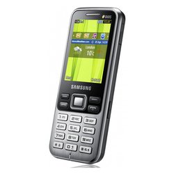 Samsung GT-C3322 (серебристо-черный)