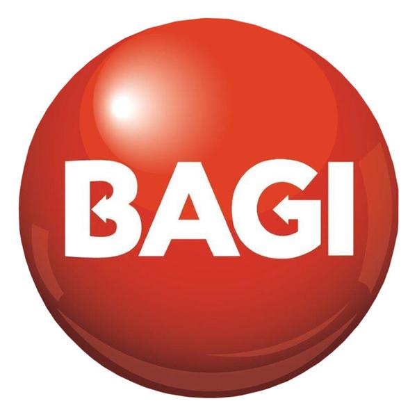 Шуманит жироудалитель с приятным запахом Bagi