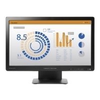 HP ProDisplay P202va